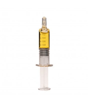 Wachs Amnesie CBD