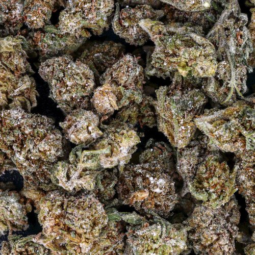 Flor de CBD - Flor de amnesia de cristal