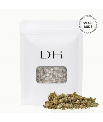 Flor de CBD - Pequeño capullo de amnesia de cristal