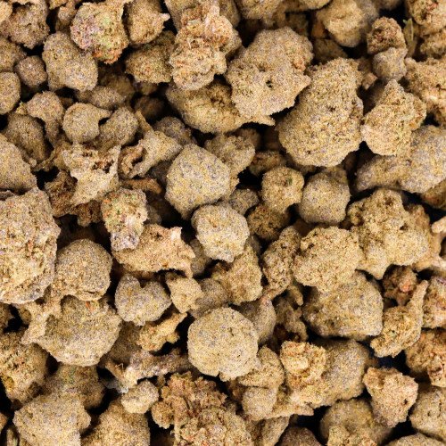 Deli Rock kleine Knospe – Indoor
