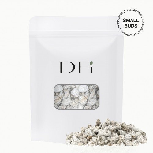 CBD-Blüte – Deli White, kleine Knospe