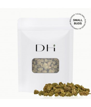 Fleur CBD - Ice cream small bud