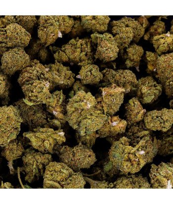 Fleur Hydro small bud