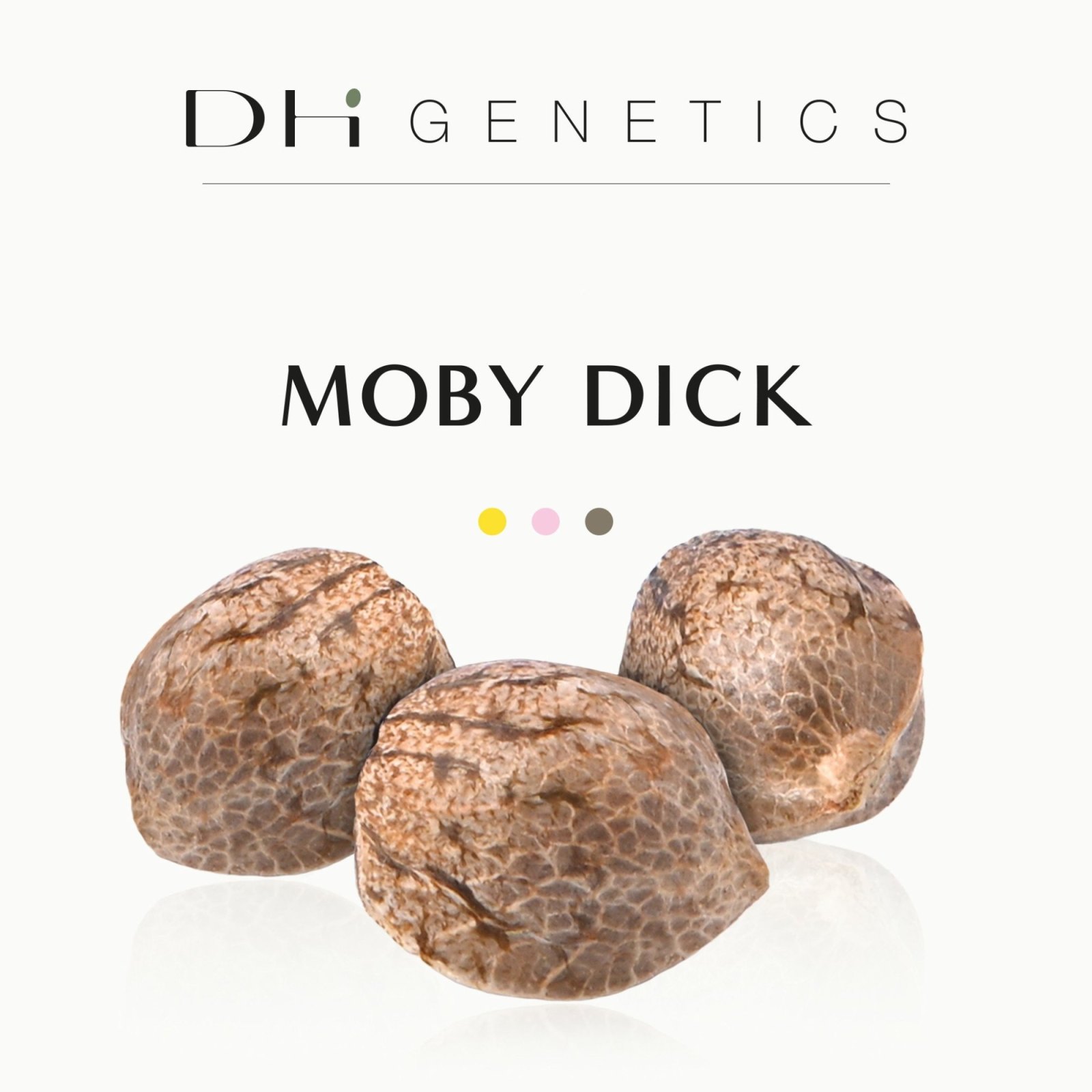 Semillas CBD - Moby Dick