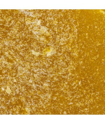 CBD extraction