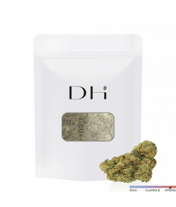 Fleur HDH Amnesia 3.0