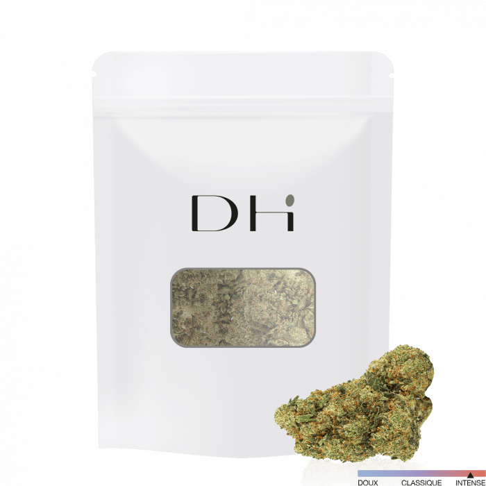 Fleur HDH Amnesia 3.0