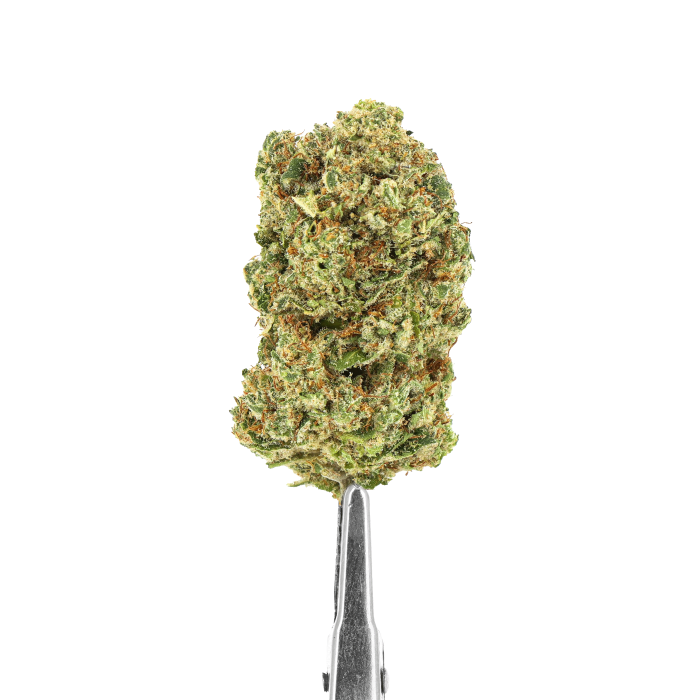 CBD-Blüten Hydro