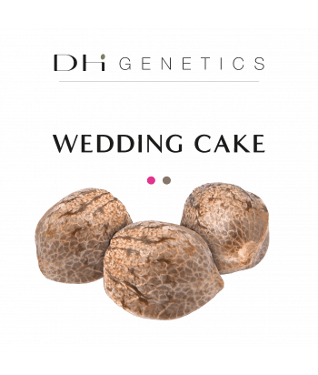 THC seed - Weeding cake