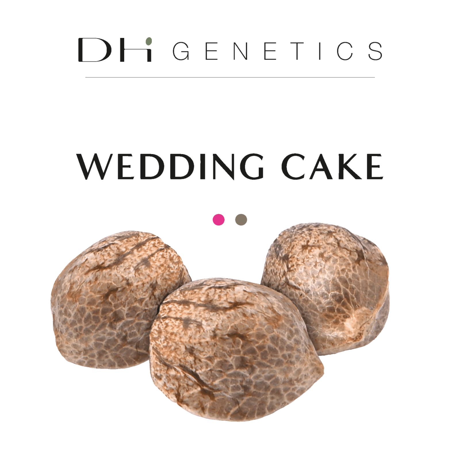 Semillas de THC - Pastel de escarda