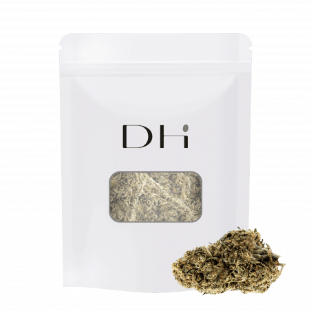 CBD-BLUME - PINEAPPLE GREENHOUSE