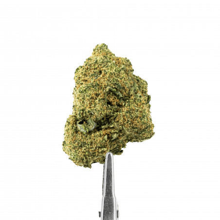 CBD Flower - Piña