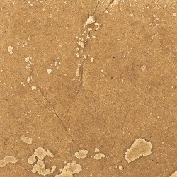 TEXTURA SUPREMA 50% SIN THC