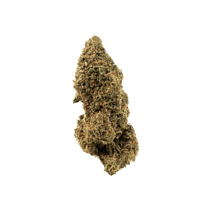 Fanta haze indoor