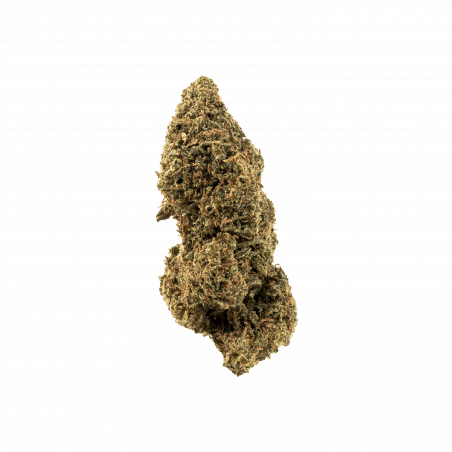 Fanta haze indoor