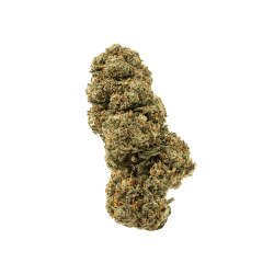 OG KUSH INDOOR