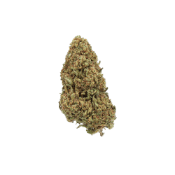 fleurs CBD ORANGE BUD GREENHOUSE