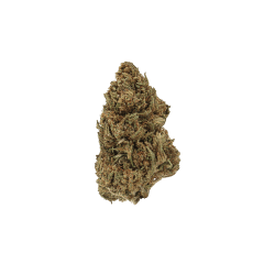 MIMOSA