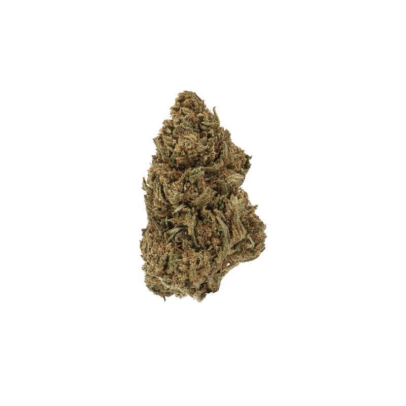 MIMOSA