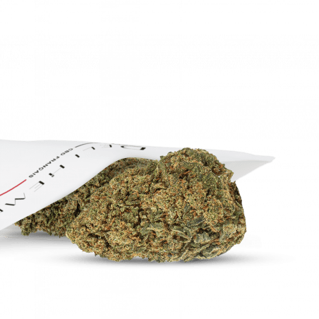 CBD-Blumen indoor