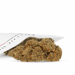 CBD indoor de qualité