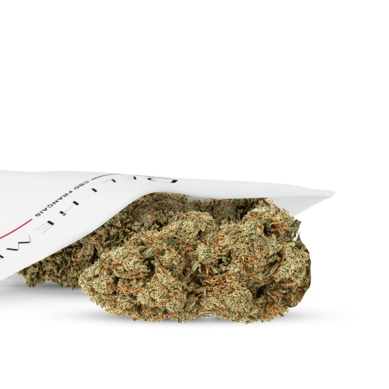 cBD-Blume WHITE WIDOW