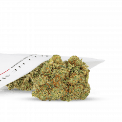 CBD BLOEMEN