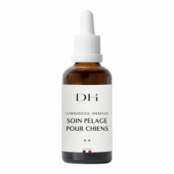 CBD animaux