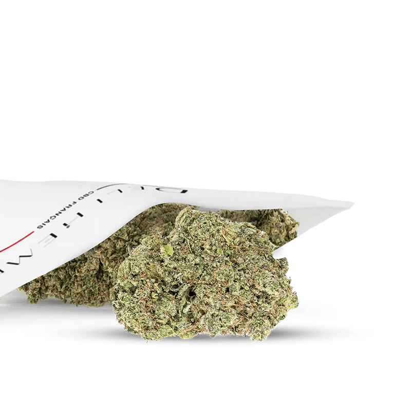 textur blumen cbd