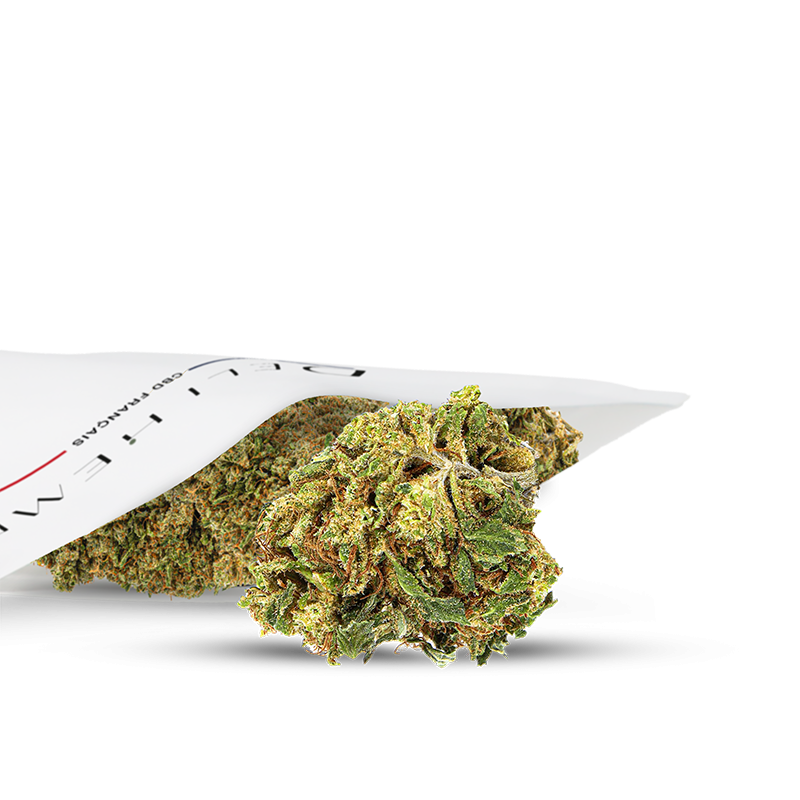Bild Blumen cbd outdoor