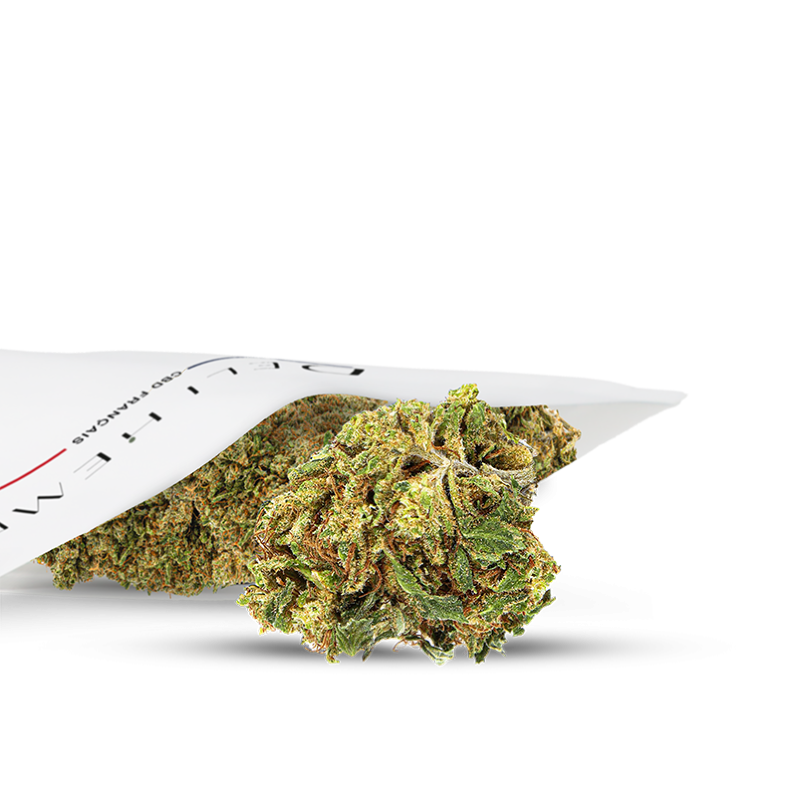 Image fleurs cbd outdoor
