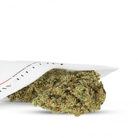 CBD-Blumen Hydroponik