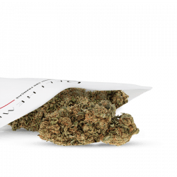 quality cbd