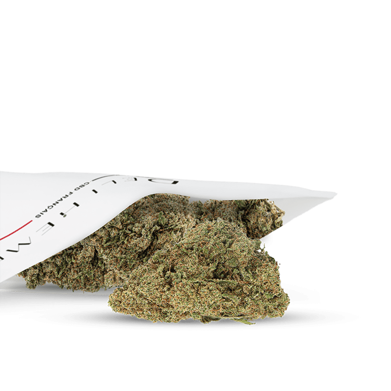 CBD-Blume Apple Fritter