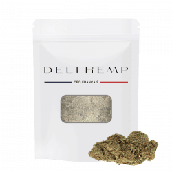 PURPLE HYDRO CBD