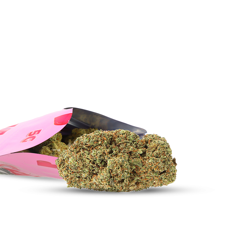 LIMITIERTE AUFLAGE CBD