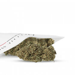cbd amnesia green house flower