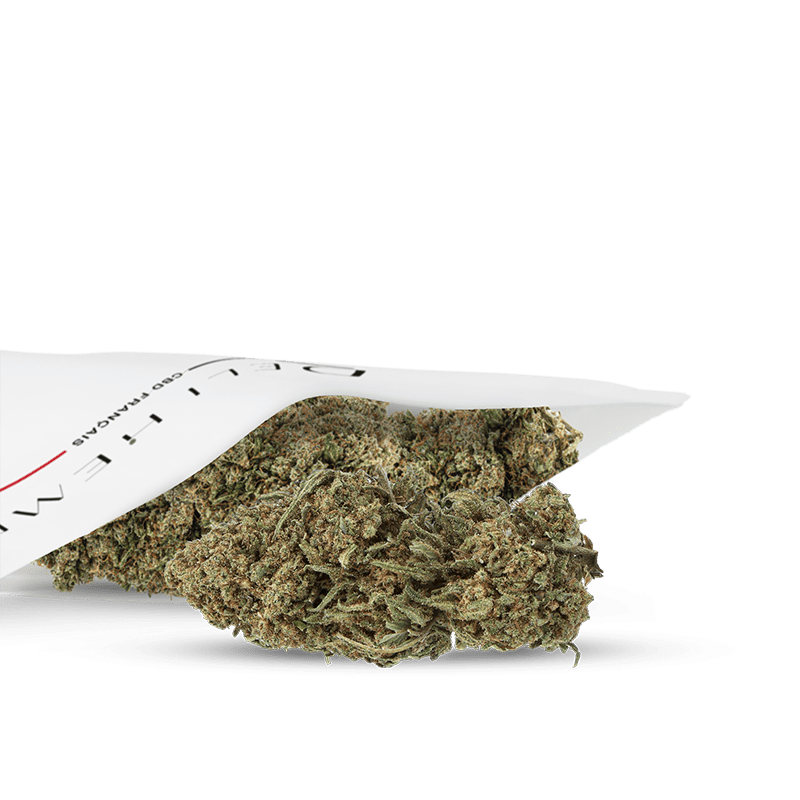 cbd blume amnesia green house
