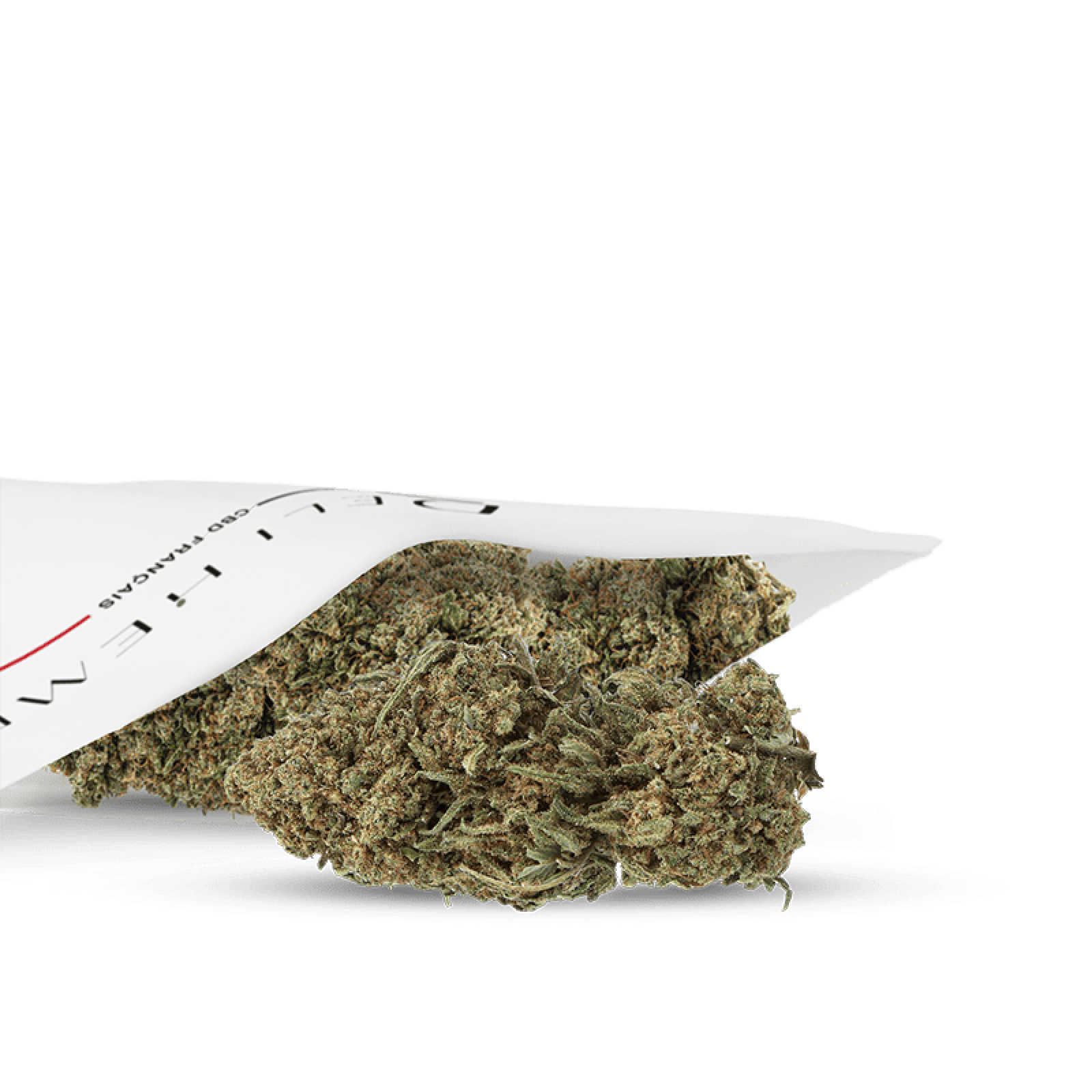 cbd amnesia groene huisbloem