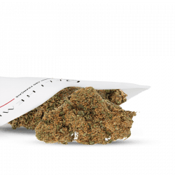 CBD-Blume - AK 47