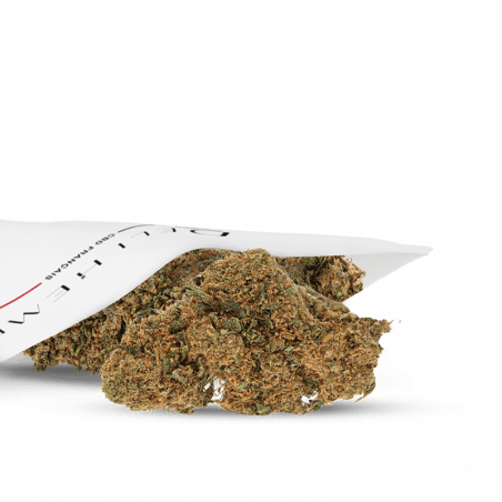 Flor de CBD - AK 47
