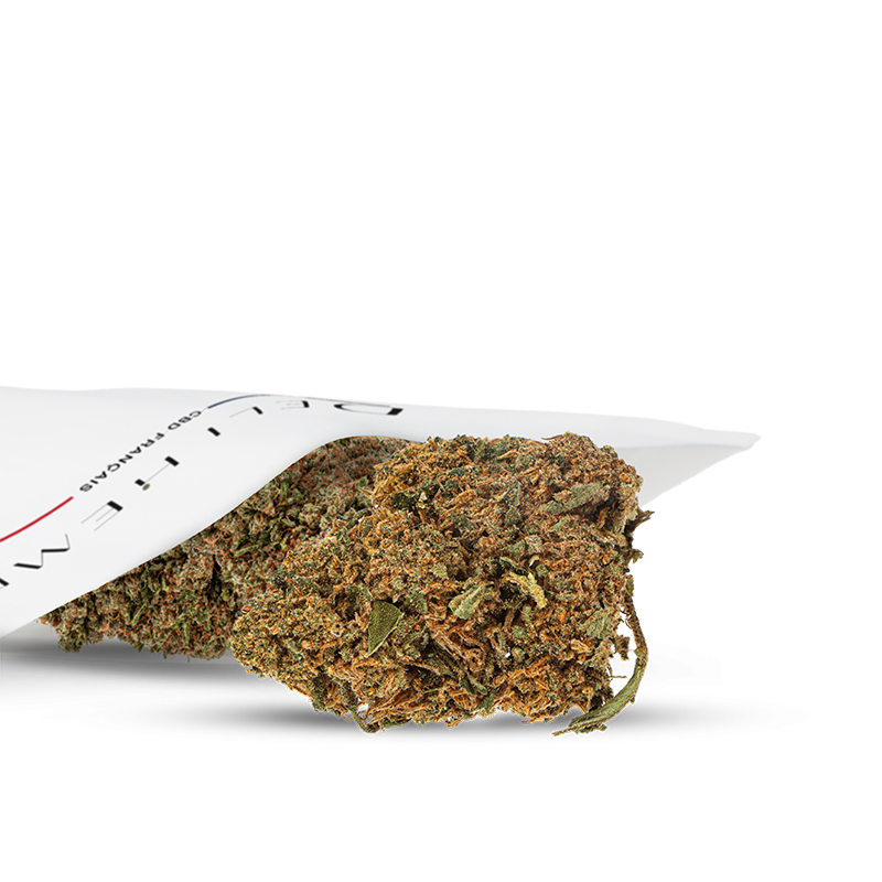 BUITENBUDS
