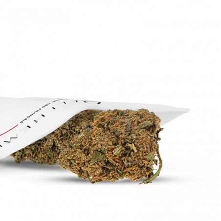 BUITENBUDS