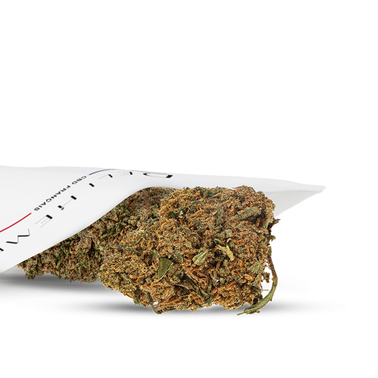BUITENBUDS