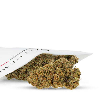 CBD indoor flower banana flavour