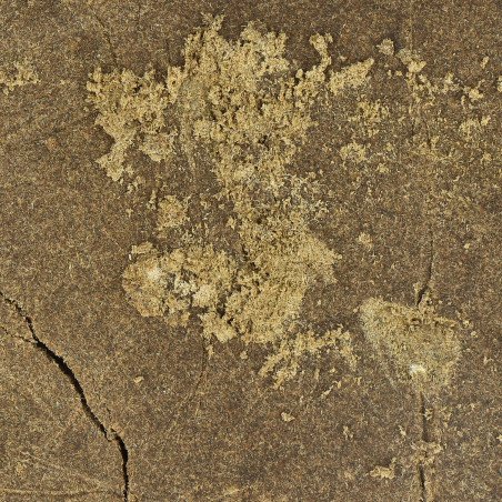 hash CBG