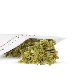 Bubba kush cbd