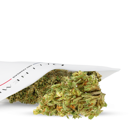 Bubba kush cbd