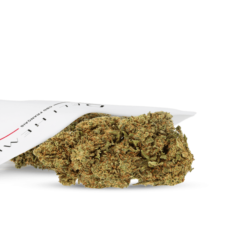 CBD-Blüten im Großhandel