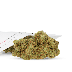 Hydrocultuur